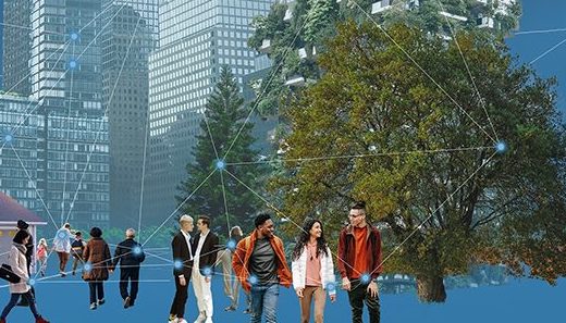 Knowledge Elicitation