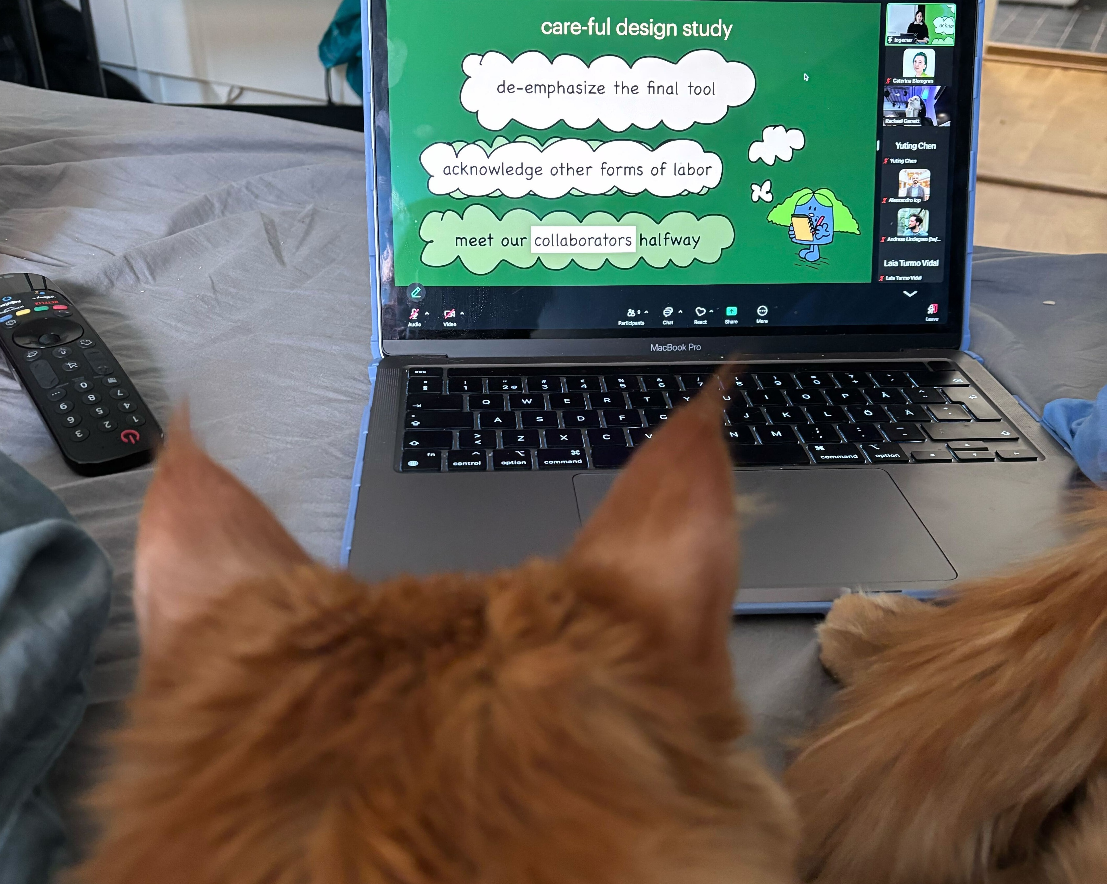 Cute cats watching Derya's presentation